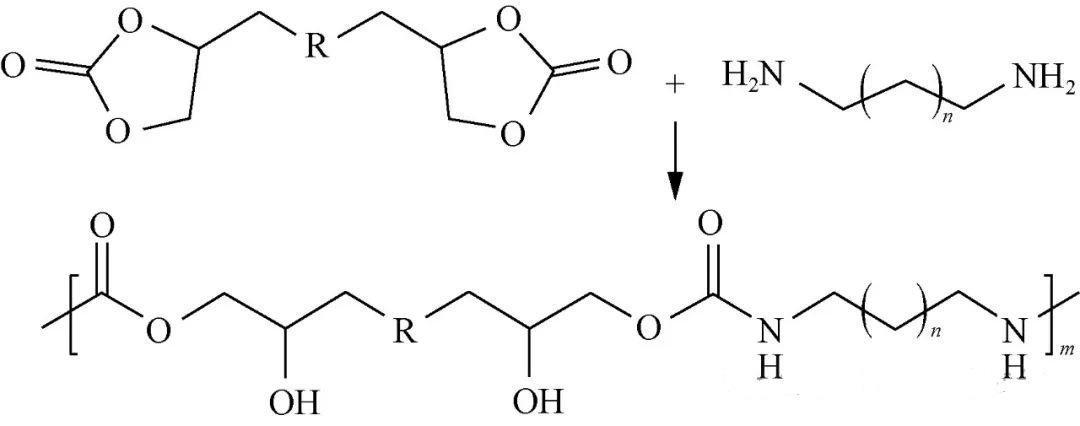 hình ảnh1